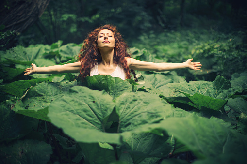 Young redhead woman walking among plant with amazing big leaves. Looks like she is in fairy tale
