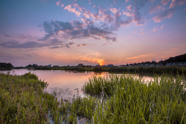 istock River forelands near Wageningen 843620254