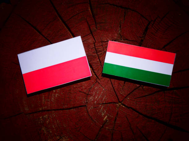 Polish flag with Hungarian flag on a tree stump isolated stock photo