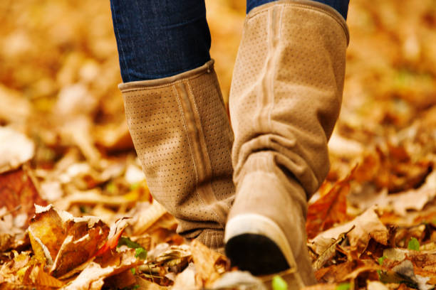 istock Woman in the Park. Autumn Concept. 843630832