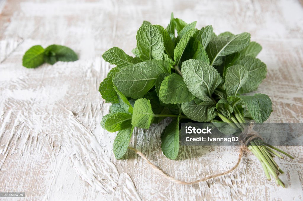 Mint. Bunch of Fresh green organic mint leaf on wooden table closeup. Selective focus. Mint. Bunch of Fresh green organic mint leaf on wooden table closeup. Selective focus Mint - Plant Family Stock Photo