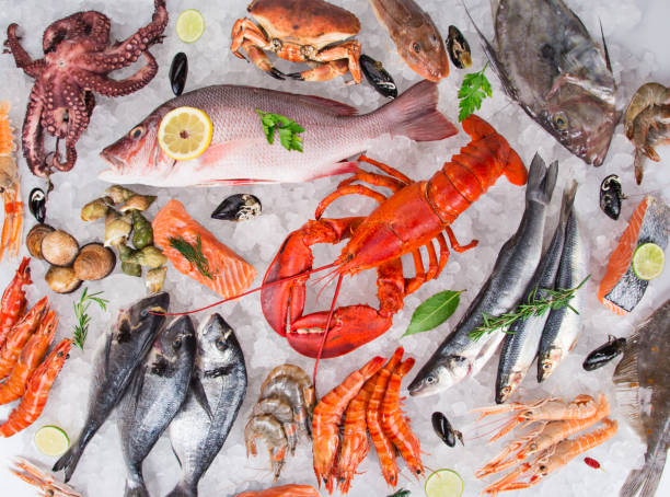 istock Fresh tasty seafood served on crushed ice 843641472