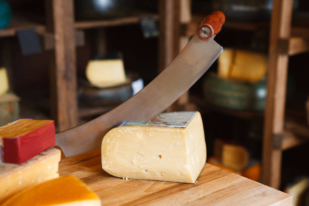 Hard goat cheese with special two-handed knife in it at grocery shop. Cutting cheese. Background, copy space