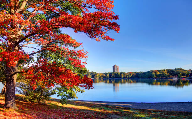 folhagem de outono ao longo da lagoa de jamaica em boston - autumn falling leaf new england - fotografias e filmes do acervo