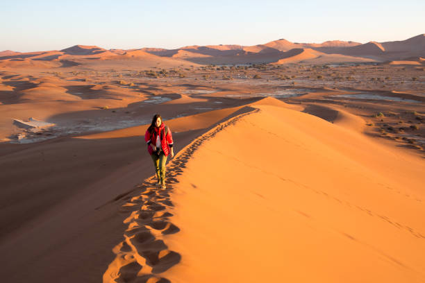 istock Dune Climbing, Sossusvlei, Namib Desert, Namibia, Africa 843667360