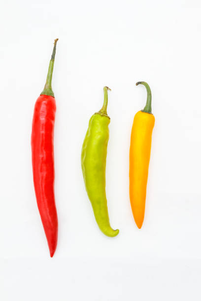 istock Indian spices chilli on white background, top view mix indian spices and herbs difference ware on white background with copy space for design vegetables, spices, herbs or foods content 843669370