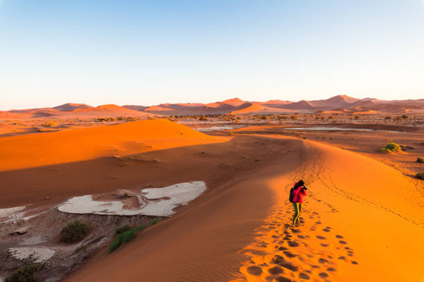 istock Dune Climbing, Sossusvlei, Namib Desert, Namibia, Africa 843672086