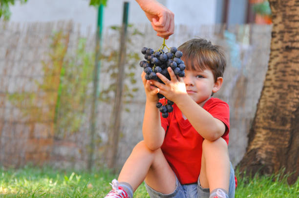 istock Mom hands giving grape to child. 843672970
