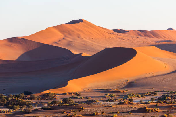 istock Sossusvlei, Namib Desert, Namibia, Africa 843673382