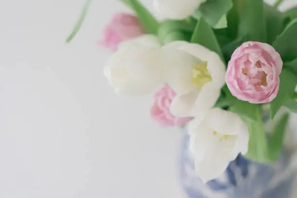 Muted pink and white tulips in a vintage vase