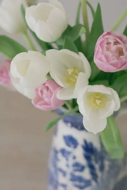 Romantic Pink and White Tulips arranged in a vintage, chinois pitcher against a wood backdrop