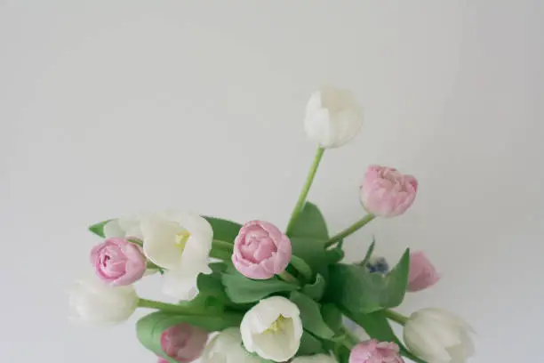 pink and white tulip floral arrangement with negative space above. Moody, muted film look.