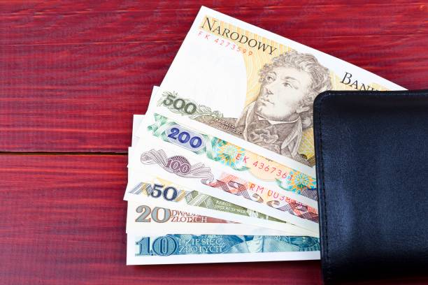 istock Old Polish money in the wallet 843677900