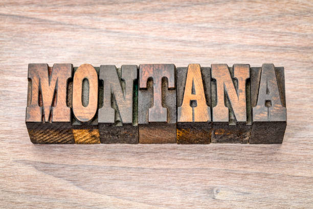 istock Montana in vintage wood type 843685314