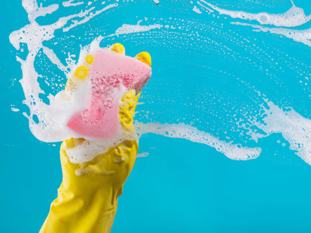 istock hand cleaning glass window pane with detergent 843686790