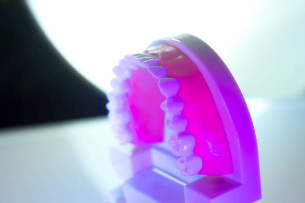 istock Dental teeth, mouth, gums dentists teaching model showing each tooth and roots. 843689154