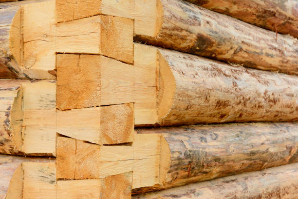 istock Construction of a wooden log house 843691414