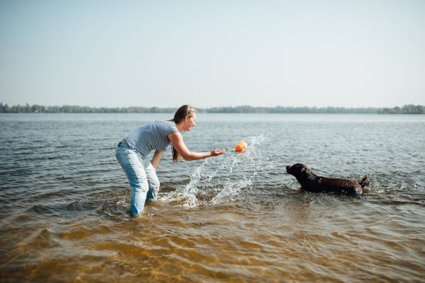 istock beautiful girl is playing with brown labradors 843700192