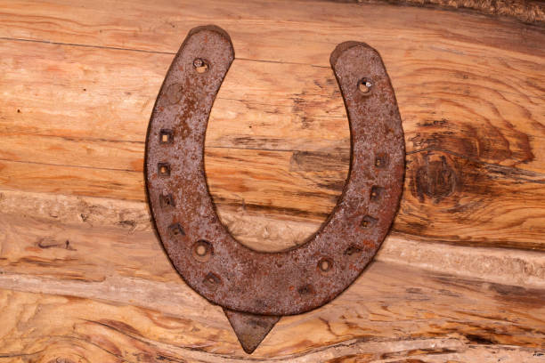 istock steel horseshoe on wooden background 843700472