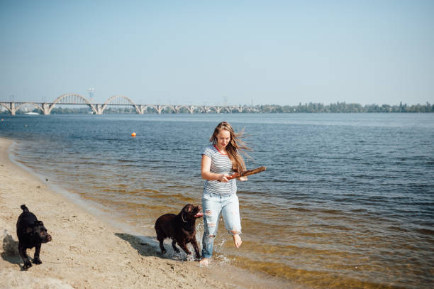 istock beautiful girl is playing with brown labradors 843701060