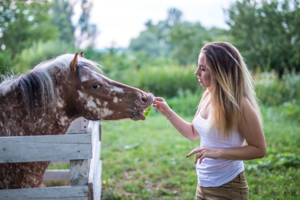 istock Young happy girl feeding a horse 843706450