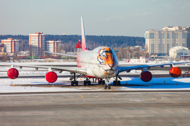 tigre face à avion boeing - sheremetyevo photos et images de collection