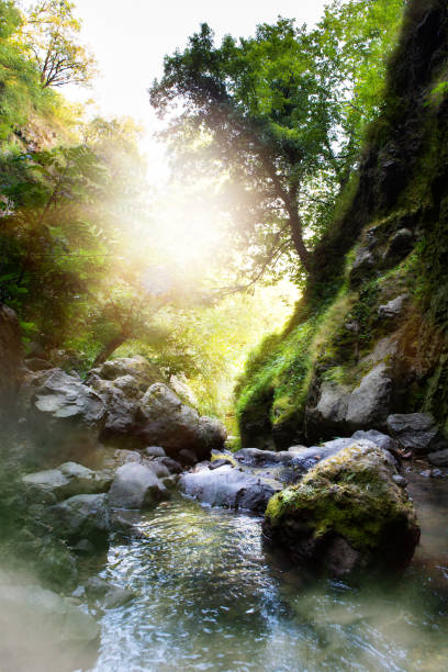 istock Natural Forest Mountain stream; Rocks covered with green moss; 843712496