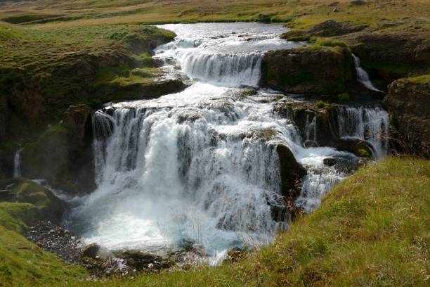 istock wonderful waterfall in iceland  framed by a perfect green grass 843712956