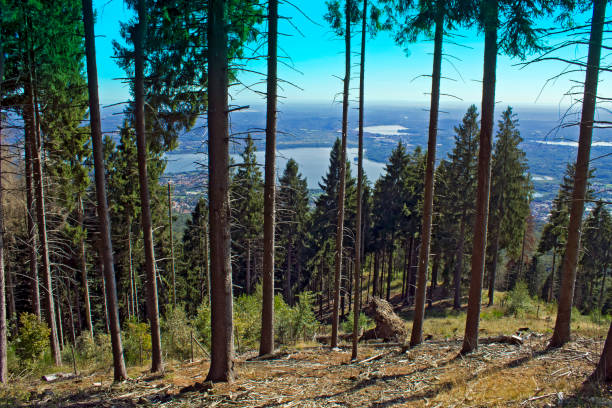 Lake Varese from Campo dei Fiori forest walk