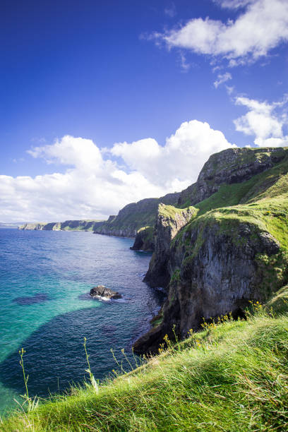 istock Cliffs and coastline of Northern Ireland 843720340