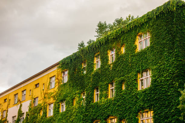 Darmstadt, Germany - June 18, 2025: Architectural details of the Waldspirale residential complex in Darmstadt, Germany, featuring a colorful facade adorned with lush green ivy and integrated windows.