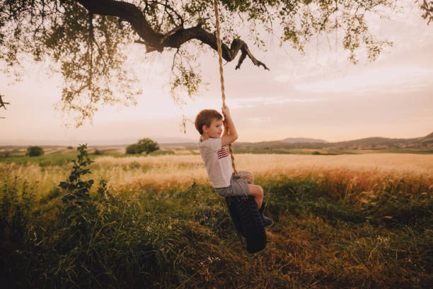 Boy on a tire swing Cute little boy enjoying in a beautiful day on a tire swing tire swing stock pictures, royalty-free photos & images