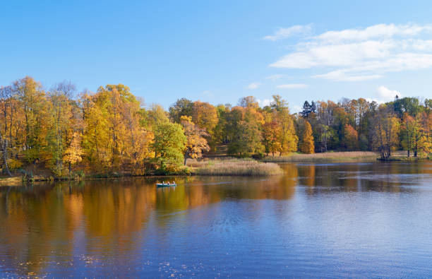 Autumn colorful landscape with falling leaves.October day in Pavlovsk Park, St.Petersburg, Russia stock photo