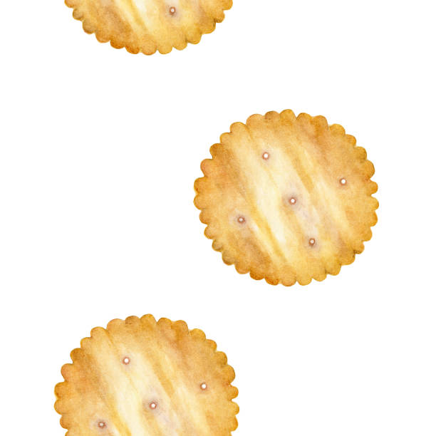 cracker herbatniki bez szwu tło izolowane na białym tle. akwarela - biscuit cookie cracker missing bite stock illustrations