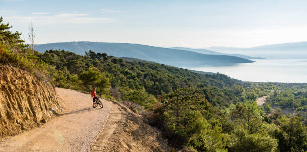 istock Mountain biker riding on bike on panoramic inspiring landscape 843745178