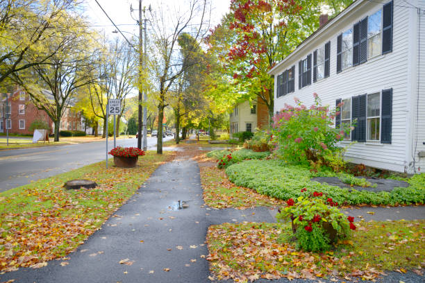 istock Homes in a Street 843745328