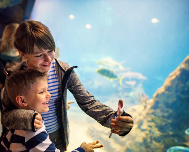 мать с детьми, посещающими огромный аквариум - candid underwater animal aquarium стоковые фото и изображения