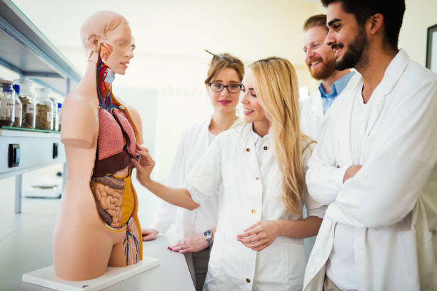 istock Students of medicine examining anatomical model in classroom 843747666