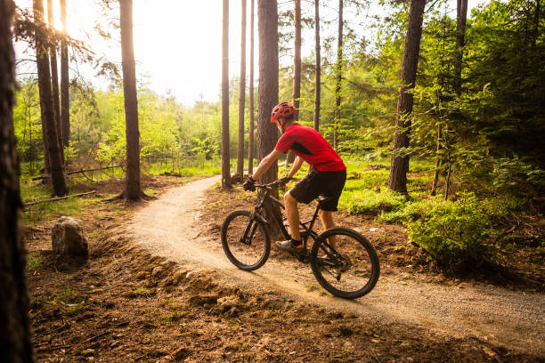 istock Mountain biker riding cycling in summer forest 843747772