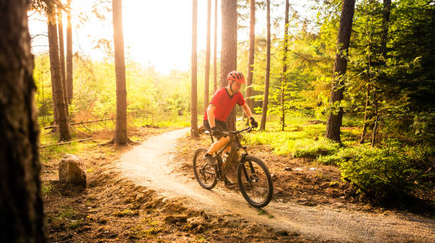 istock Mountain biker riding cycling in summer forest 843748042
