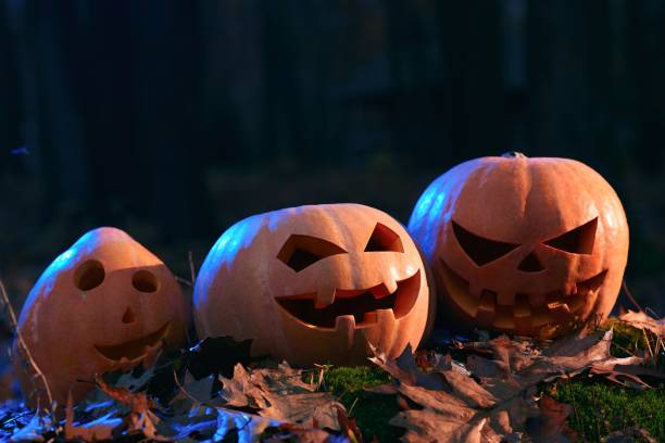 istock Three pumpkins, funny, surprised and angry prepare for Halloween. 843751778