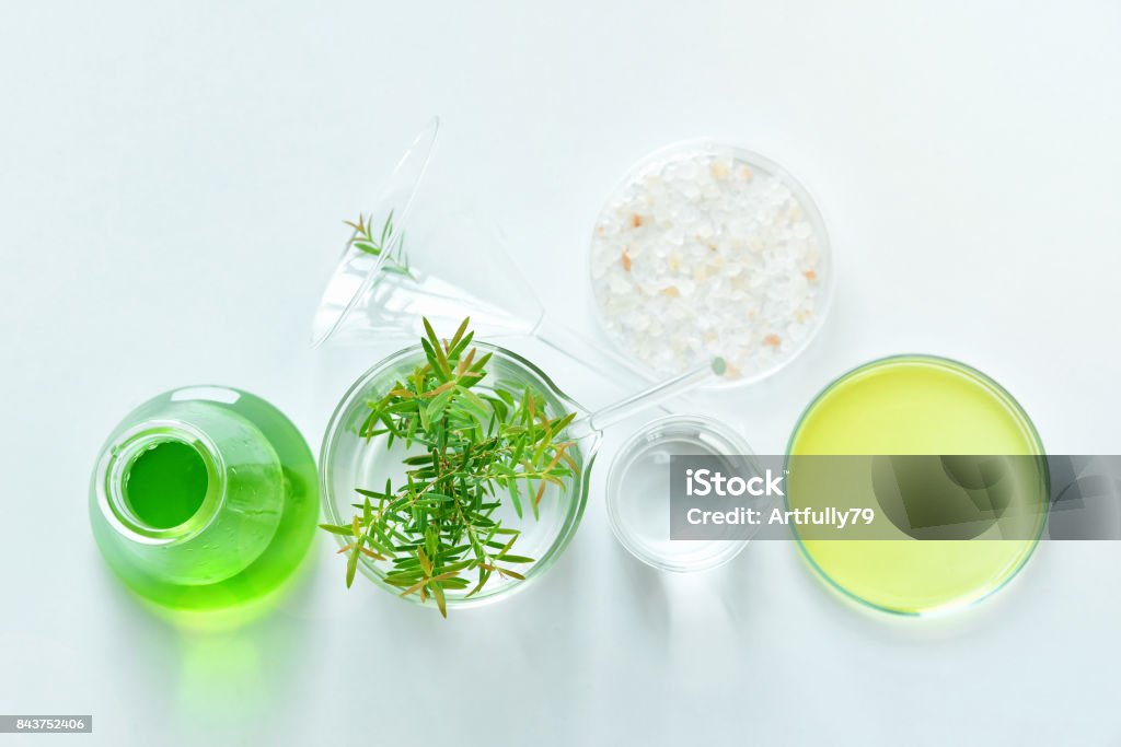 Natural organic botany and scientific glassware, Alternative herb medicine, Natural skin care cosmetic beauty products, Research and development concept. Natural organic botany and scientific glassware, Alternative herb medicine, Natural skin care cosmetic beauty products, Research and development concept. (Selective Focus) Laboratory Stock Photo