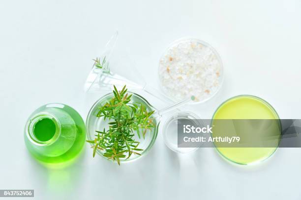 Natural Organic Botany And Scientific Glassware Alternative Herb Medicine Natural Skin Care Cosmetic Beauty Products Research And Development Concept Stock Photo - Download Image Now