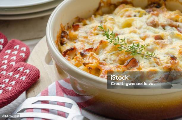 Creamy Chicken And Potato Casserole Stock Photo - Download Image Now - Casserole, Gratin, Chicken Meat