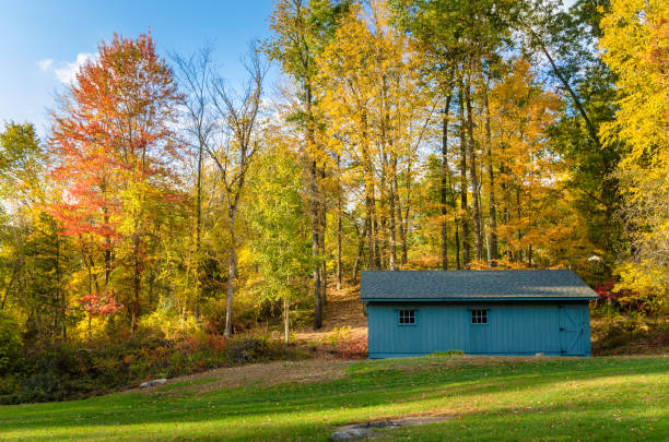 galpão de madeira azul em prados em um dia ensolarado de outono - forest hut window autumn - fotografias e filmes do acervo