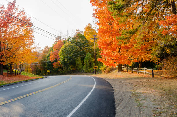 istock Deserted Curve along a Highway in Autumn 843756666