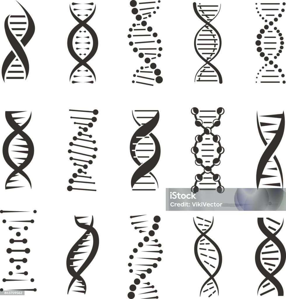 DNA ヘリックス ベクトルのアイコンをダブル - DNAのロイヤリティフリーベクトルアート