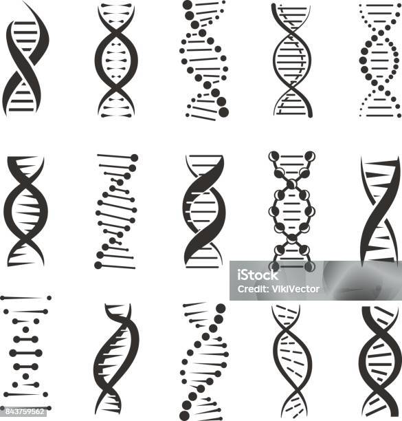 Dna ヘリックス ベクトルのアイコンをダブル - DNAのベクターアート素材や画像を多数ご用意 - DNA, らせん, アイコン