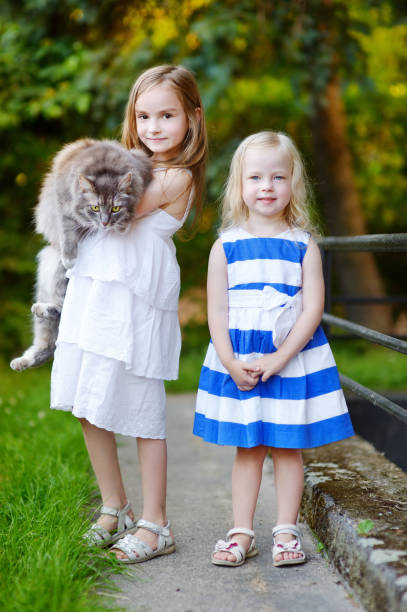 istock Two cute little sisters and a cat 843760210