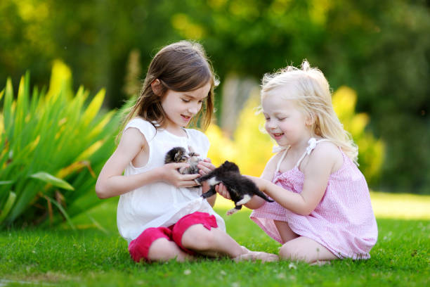 istock Two adorable little sisters playing with small newborn kittens 843760262